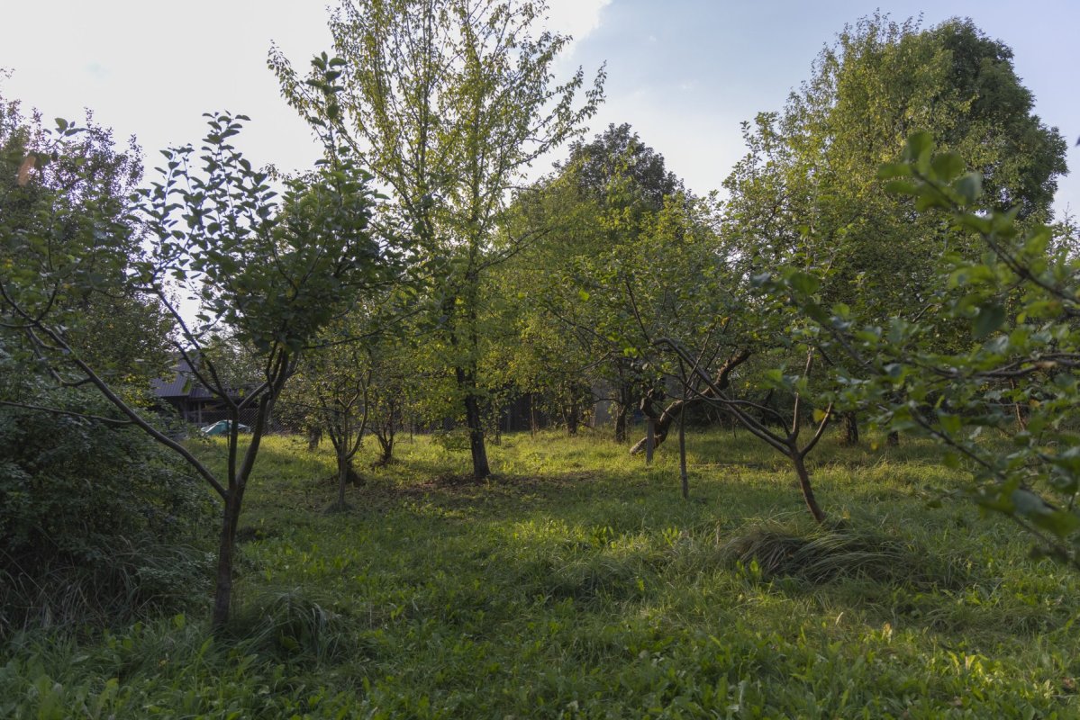 FOT. MICHALINA KACPERAK