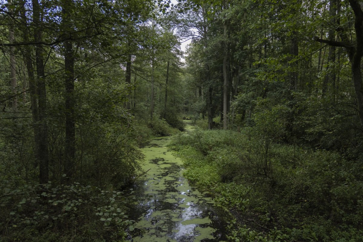 FOT. MICHALINA KACPERAK