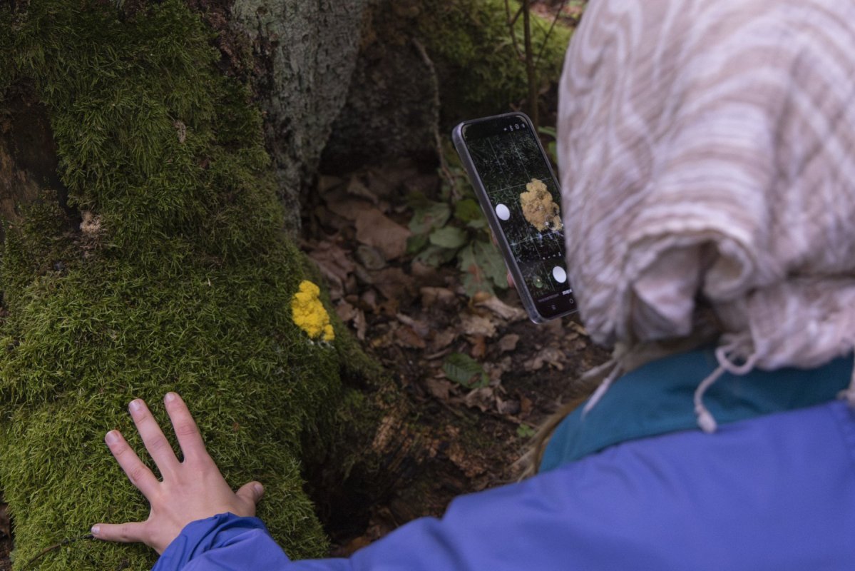 FOT. MICHALINA KACPERAK