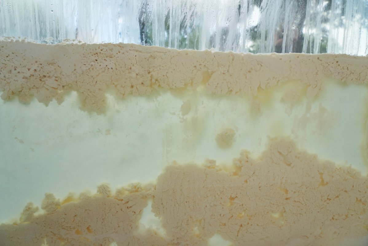 Detal pracy "Okno karmienia / Feeding Window", fot. Joanna Wierzbicka