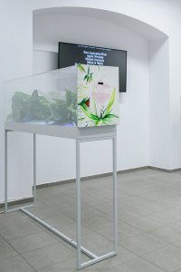 Art in Our Age – Tarnów