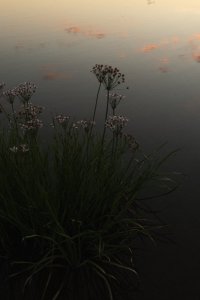 Letnia Szkoła AZ, fot. Gosia Kępa